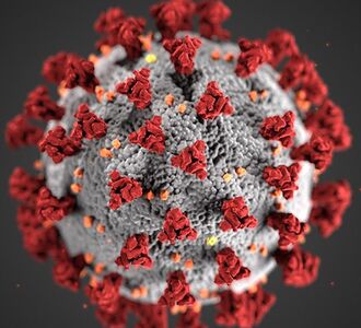 Coronavirus: Aktuelle Informationen und Material
